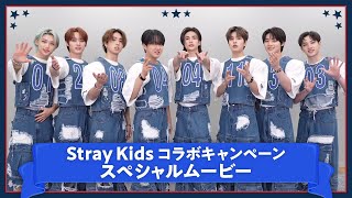 ㊗32.5万点達成！】Stray Kids × LIVE DAM AiR コラボキャンペーン