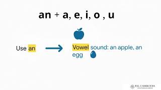 Grammar ✨ Grammar F 🧩 Parts of Speech   Basics A1   Lesson 13 Indefinite Articles 'a' vs 'an'