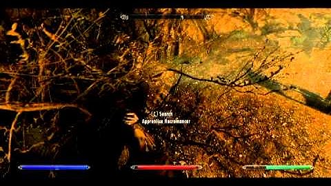 [The Elder Scrolls V: Skyrim] Just messing around - Part 1