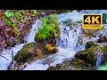 Beautiful Mountain River Flowing Sound. Waterfall Sounds and Forest Birds Singing (3 Hours)