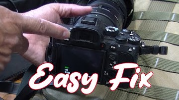 How To Fix Camera Viewfinder / Monitor LCD Screen Not Switching Display. Sony, Canon Nikon , Pentax