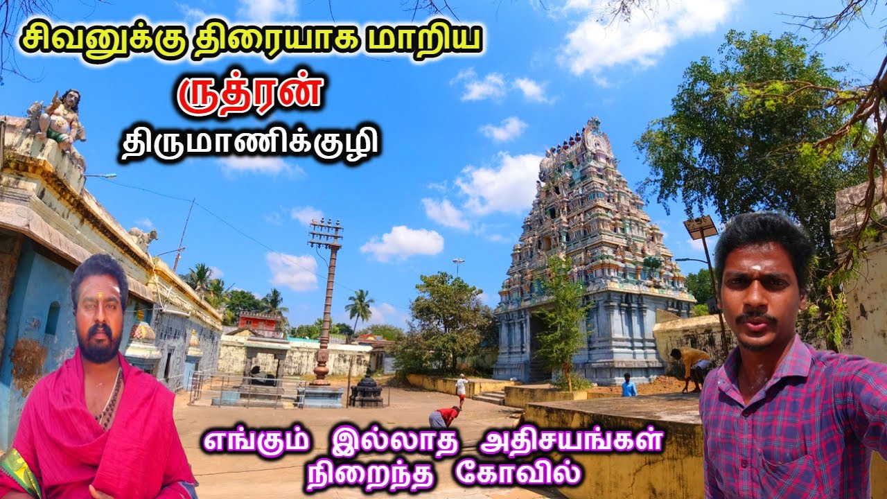 Ormonda kelinlar olomonini tomosha qilish