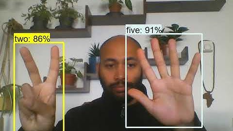Finger Counter using TensorFlow 2 Object Detection API