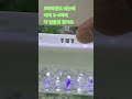구피의여왕 알비노 풀레드 하이도살 7탄 출산 그리고 기쁨 #aquarium #aquascape #fish #fishtank #구피 #물멍 #수초 #수초어항