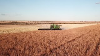 Grains Research Update - Perth