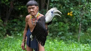 Senjata Rahasia Kehidupan Burung Dayak Borneo