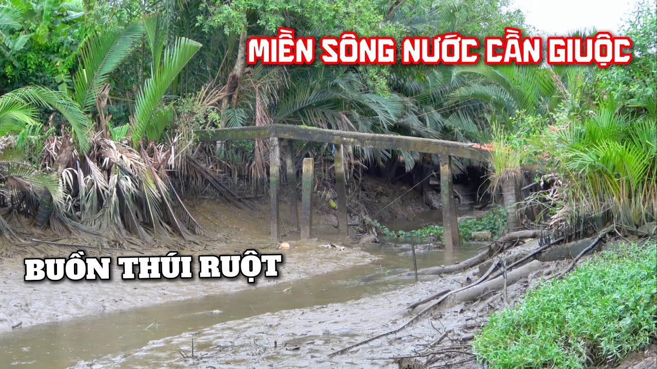 Trời Chiều Dưới Con Rạch Nhỏ, Buồn Thúi Ruột Cảnh Miền Sông Nước Cần Giuộc. 