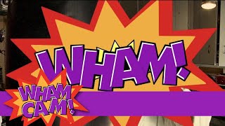 Wham Cam: Oldest Fathers?