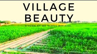 Village ka visit || Village beauty|| Village Life || Beautiful Nature 2023 beautiful vlog