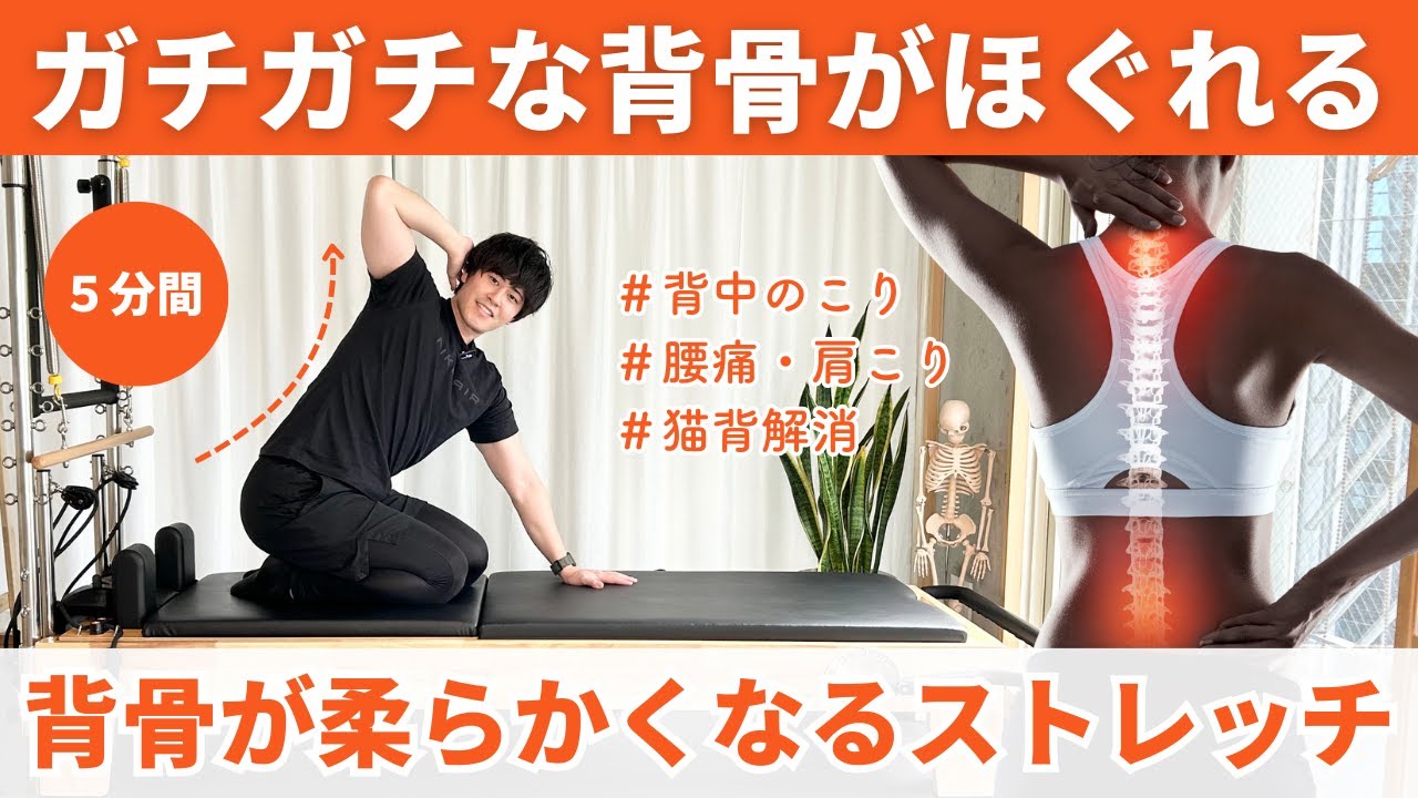 【5分間の背骨ストレッチ】ガチガチな背骨・背中の硬さを解消するストレッチ！背中のこり、腰痛、肩こりをまとめて改善