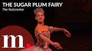"The Sugar Plum Fairy" from The Nutcracker at the Teatro alla Scala — With Nicoletta Manni