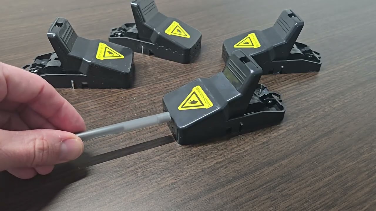 These are the BEST Mouse Traps that are EASY to Use