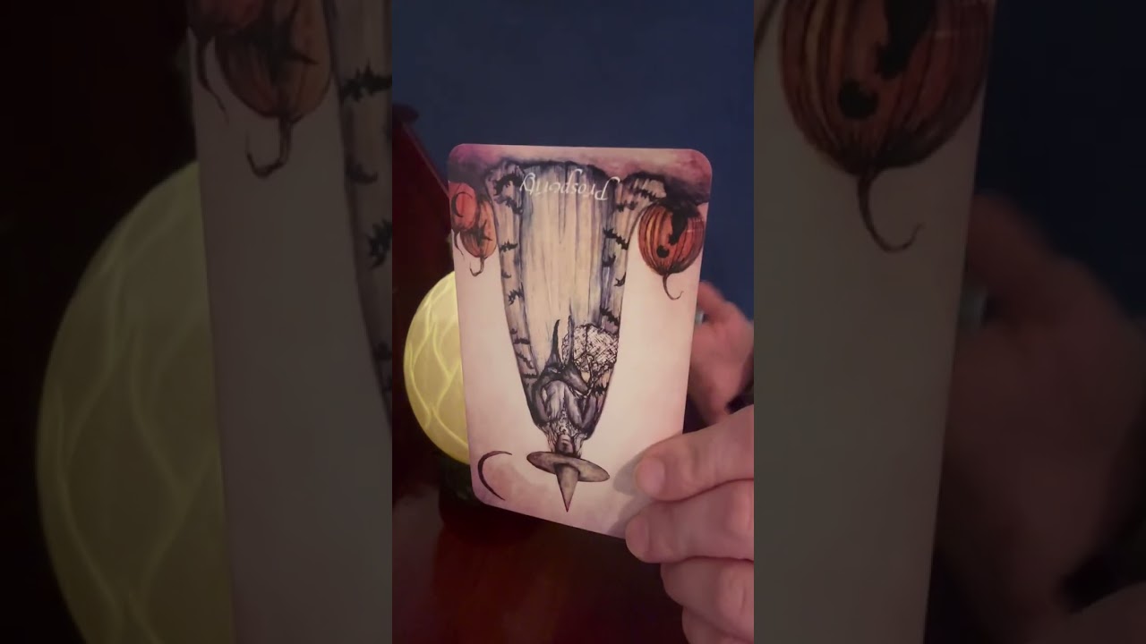 Daily 🥰 Spirit Guide Message