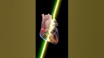 HEART 🫀 #heart #animation #3danimation #3dheart #anatomicalheart #cardiology #shorts