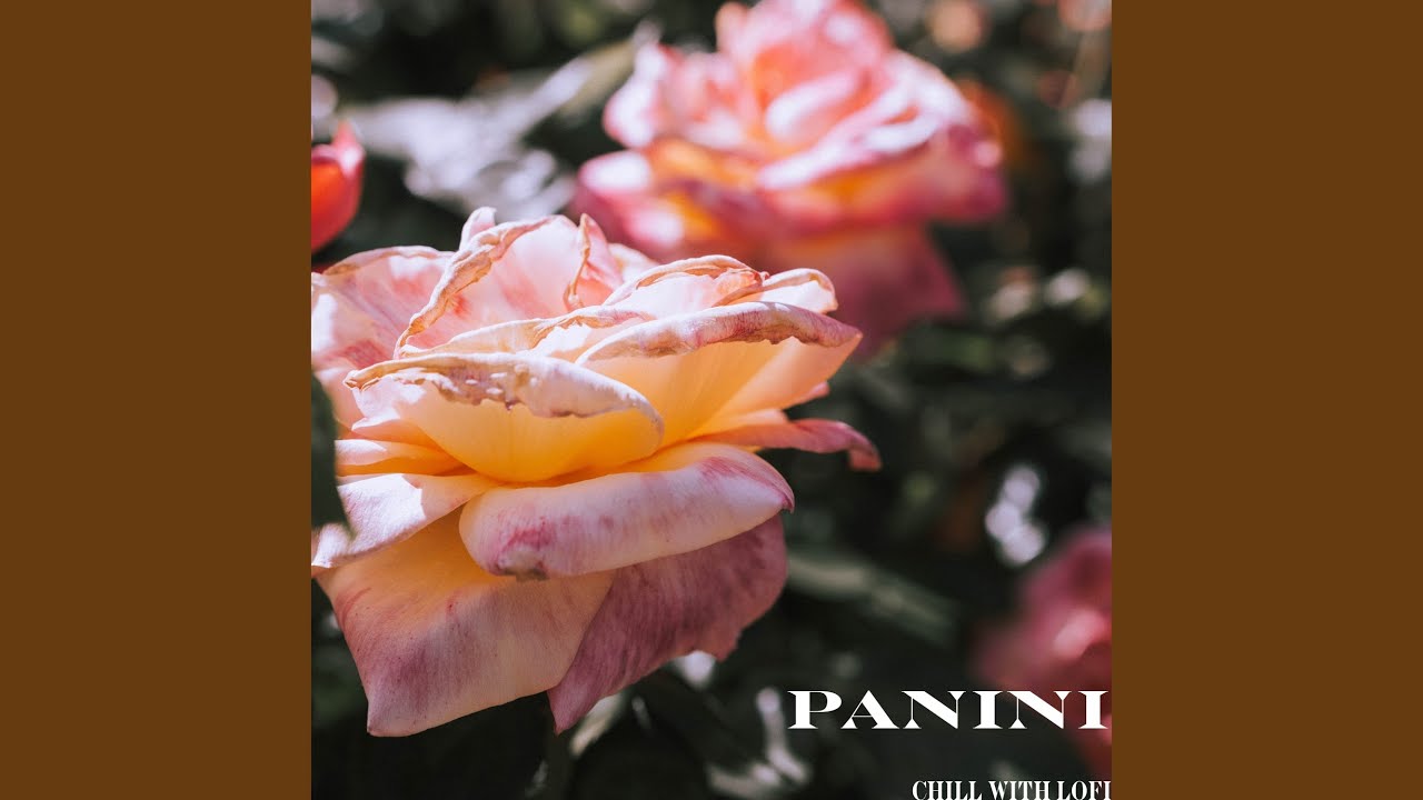 Watch Panini on YouTube Watch Panini on YouTube