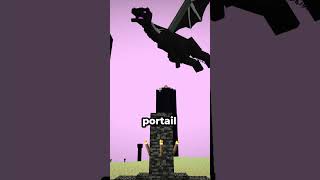 Le SECRET caché de l’ENDER DRAGON