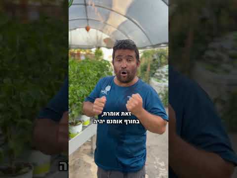 2 זני פלפל חריפים אששש הגיעו למשתלה הם מורכבים על שיח רב שנתי ולכן יניבו לכם פירות שנים רבות 