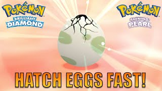How to Eggs in Pokemon Brilliant Diamond & Shining - YouTube