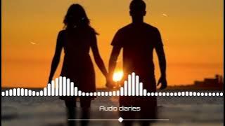 Tu nu tu tu tu music | Ringtone music | Audio Diaries |