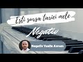 NEGATIV TON FATA | ESTI SURSA TARIEI MELE ( VASILE AVRAM )