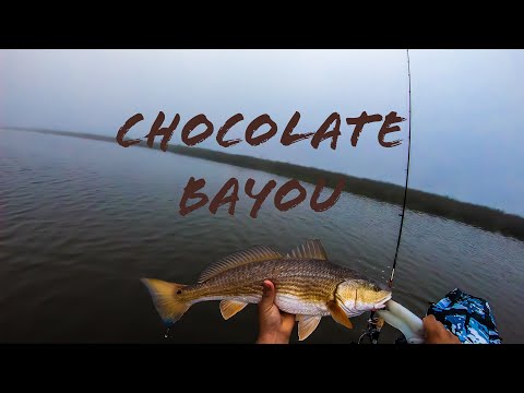 Red Limit Chocolate Bayou