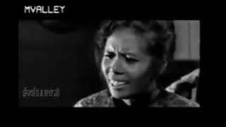 Panglima Harimau Berantai