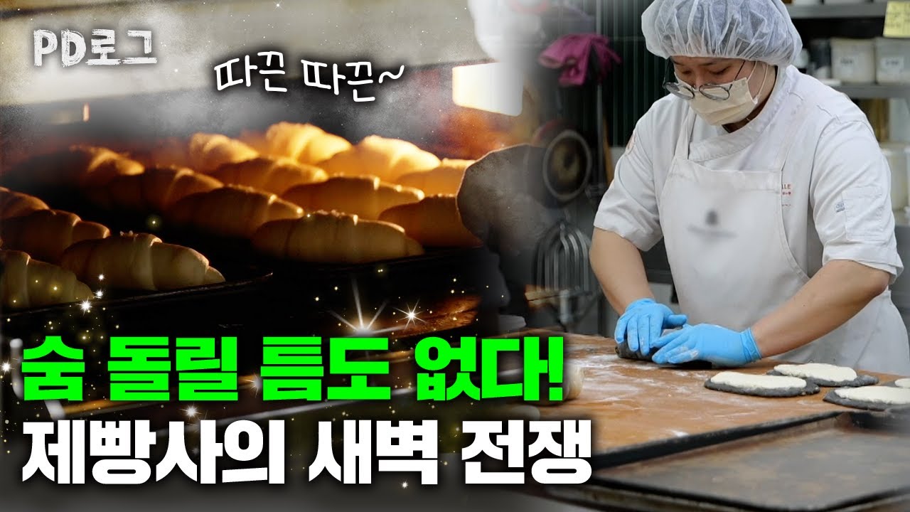 이걸 어떻게 매일해요? 새벽부터 시작되는 제빵사의 하루!︱PD로그︱50화 행복이 빵빵, 제빵사 1/2