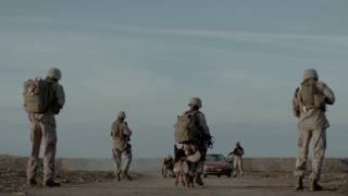Famous megan leavey official trailer 2017 Wealth