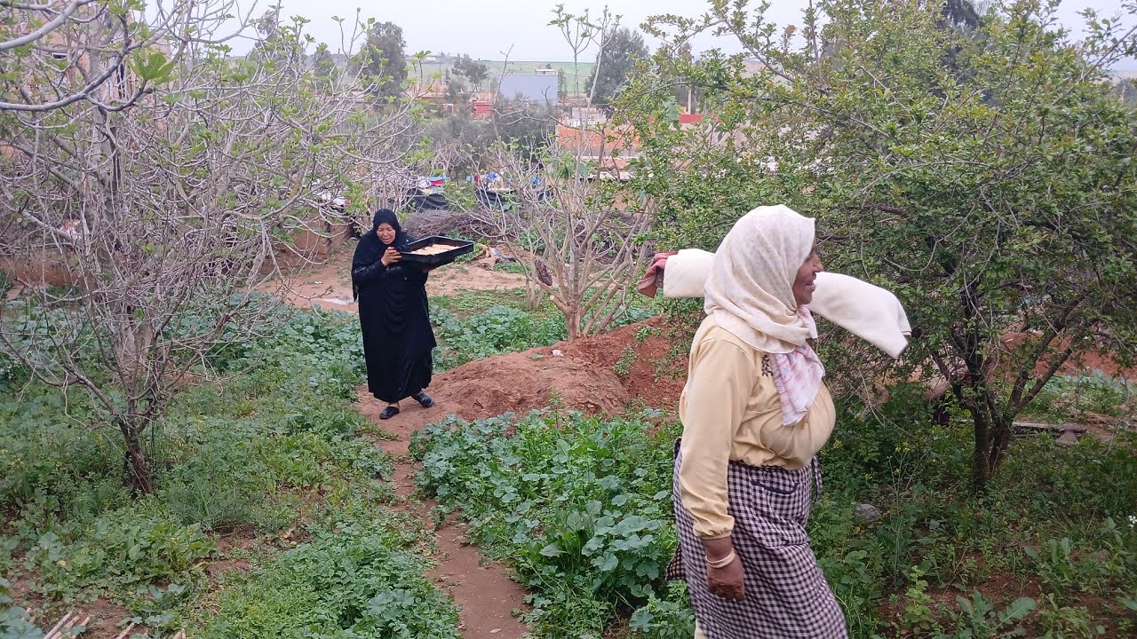 مي ناجيةومي مهموشة على الفطور تجمعو والزمن الجميل بينا رجعو
