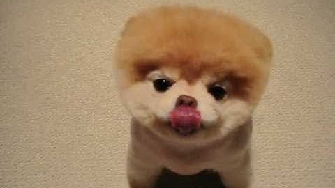 SoaR PawzR: Crazy Buzzer beater Hitmarker (Ghost)