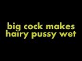 Big cock makes hairy pussy wet