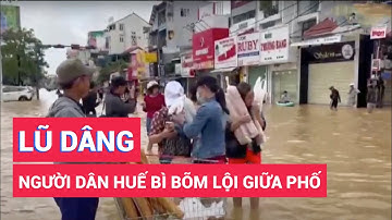 Nước lũ dân cao, người dân Huế bì bõm lội giữa phố