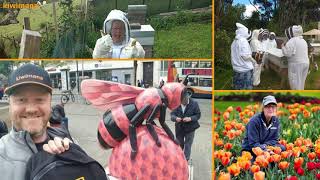 Bee Buzz Build Up - KM128