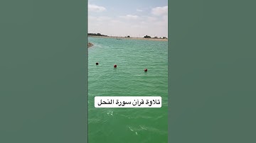 ‏تلاوة القرآن سورة النحل #اكسبلور #ارحقلبك #ارحسمعك #ارح_قلبك #لايك #عبدالرحمنمسعد #تيك_توك