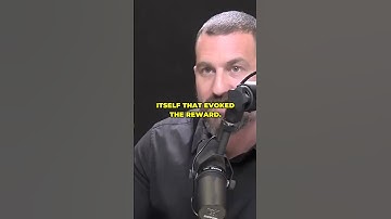 Intrinsic vs Extrinsic Rewards: The Dopamine Dynamics #Intrinsic #Dopamine #hubermanlab #shorts