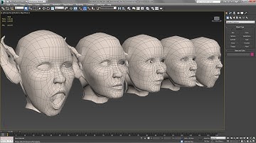 Face Rig 1 - Jaw Morph Targets
