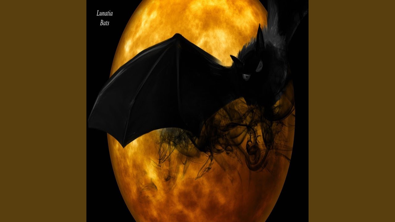 Watch Bats on YouTube Watch Bats on YouTube