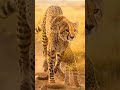 3 Second Me 100 Km/h? 😳 Cheetah Facts in Hindi #shorts