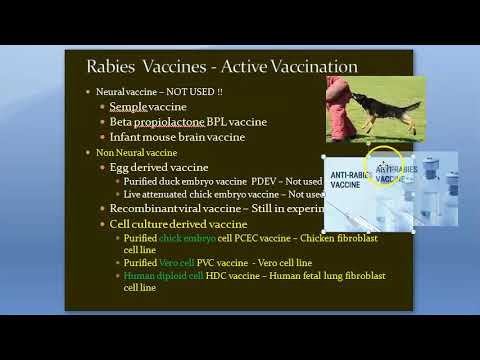Microbiology 514 a Anti Rabies Vaccine Immuno Prophylaxis Dog bite Treatment Virus Non Neural Essen