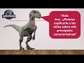 Dinoaventuras con Axl y Ariadna: El velociraptor.