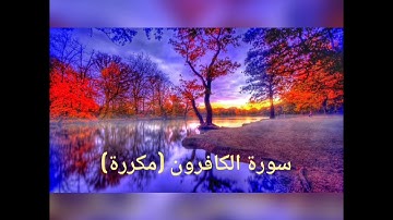 سورة الكافرون (مكررة) للقارئ إسلام صبحي تلاوة خاشعة