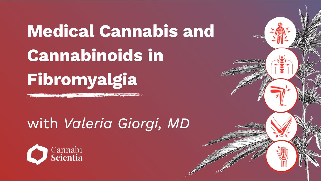 Medical Cannabis and Cannabinoids in Fibromyalgia