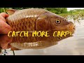 Tips For Catching Carp On The Fly - Carp Fly Fishing For Beginners - The Fly Guy