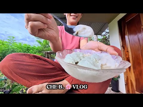 $59 Groceries| From Coconut Tree to Making Buko Ice Cream| Simple Province Life in the Philippines