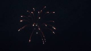 #38 5inch STROBE WILLOW WITH WITH WHITE STROBE PISTIL