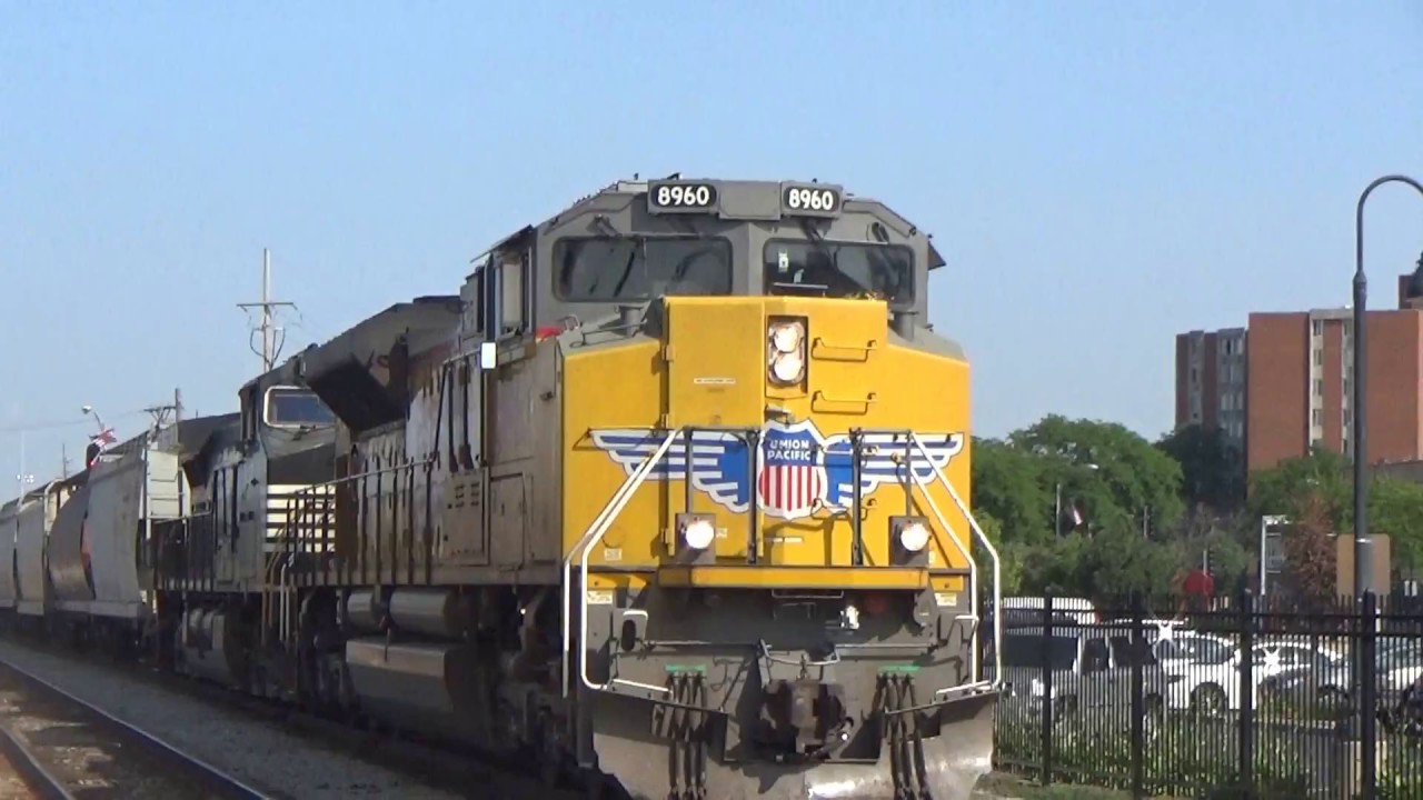 My Greatest Hornshows Ever!