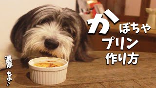 犬おやつ手作りレシピ かぼちゃプリンの作り方 もふ飯 Youtube