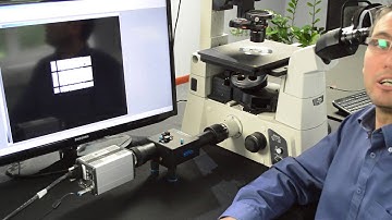 Optosplit II | Tutorial | Cairn Research Ltd