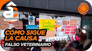 Protesta por el falso veterinario que atacó a palos a un perro en Villa Allende: cómo sigue la causa