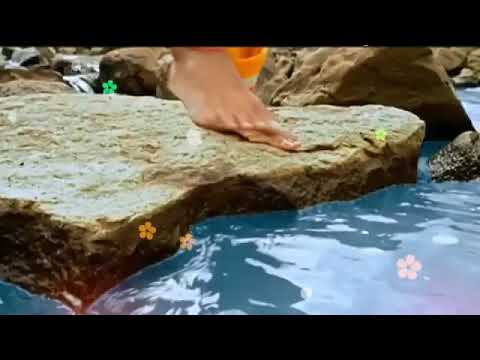 Narayanam Namaskritya || Narayan Shlok Mahabharata